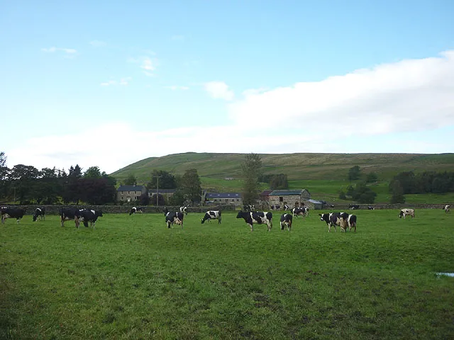 Dairy Farm — Beheira — Media 1 of 3
